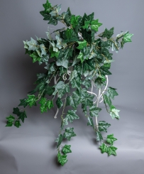 010 Veštaćke lozice   